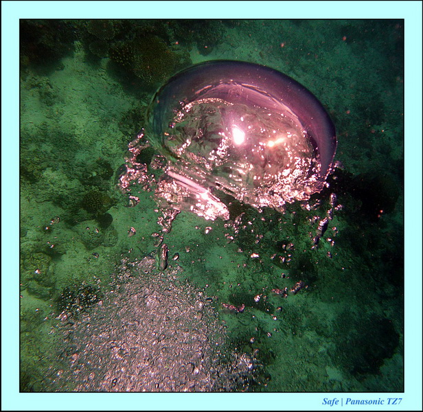 2011 - 08 - Borneo - Sipadan 105